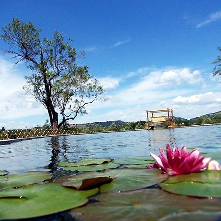 Agriturismo Il Poderino Bibbona Ngoại thất bức ảnh