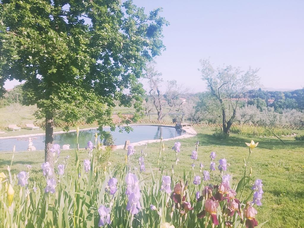 Agriturismo Il Poderino Bibbona Ngoại thất bức ảnh