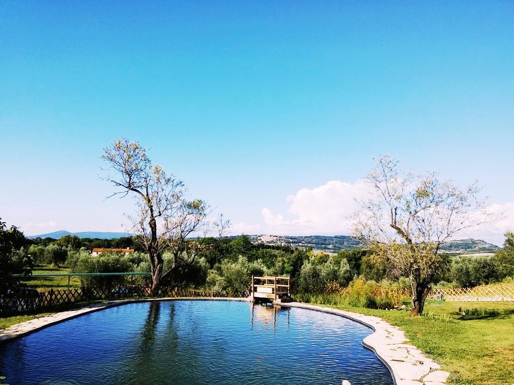 Agriturismo Il Poderino Bibbona Ngoại thất bức ảnh