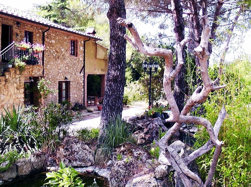 Agriturismo Il Poderino Bibbona Ngoại thất bức ảnh