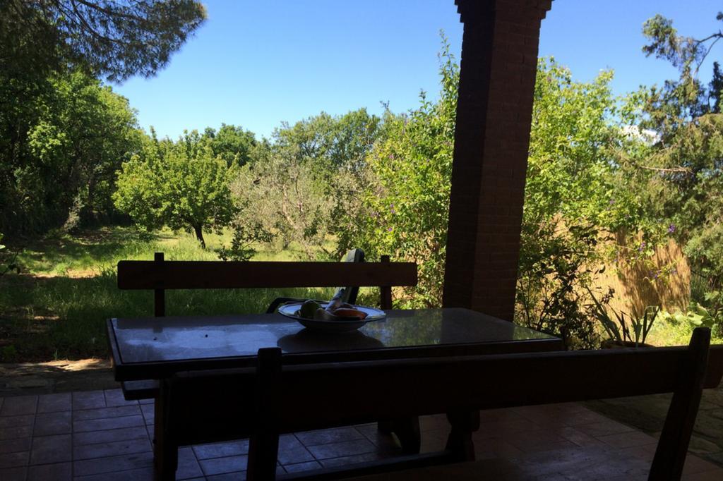 Agriturismo Il Poderino Bibbona Phòng bức ảnh
