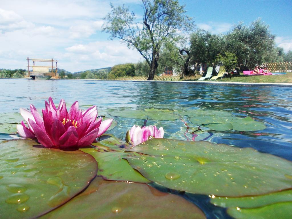Agriturismo Il Poderino Bibbona Ngoại thất bức ảnh