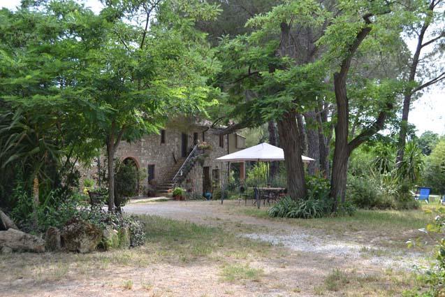 Agriturismo Il Poderino Bibbona Ngoại thất bức ảnh