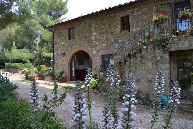 Agriturismo Il Poderino Bibbona Ngoại thất bức ảnh