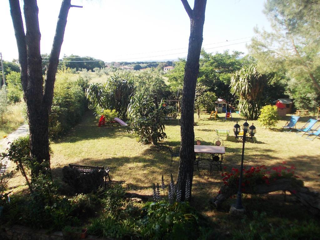 Agriturismo Il Poderino Bibbona Ngoại thất bức ảnh