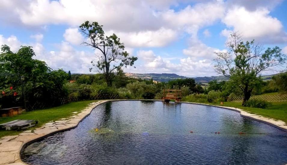 Agriturismo Il Poderino Bibbona Ngoại thất bức ảnh