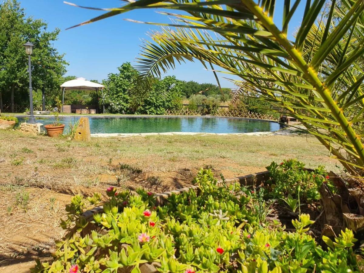 Agriturismo Il Poderino Bibbona Ngoại thất bức ảnh